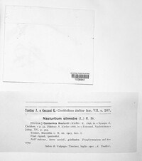 Image Associated With the Occurence